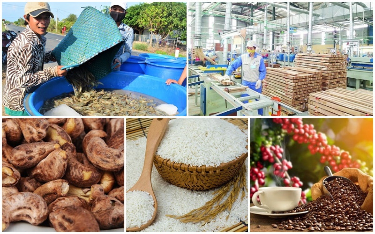 Xuất khẩu nông sản Việt Nam 2025: Bứt phá tạo nền tảng vượt mục tiêu