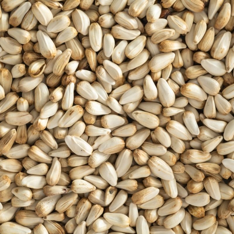 Hạt Rum (Nghệ Tây Dại)
